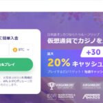 トゥルーフリップの必勝クチコミと評判検証